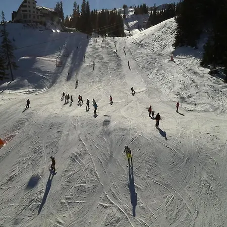 Apartamento Dvosjed *